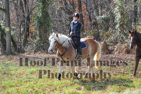 AndrewsBr(11-9-14)0564