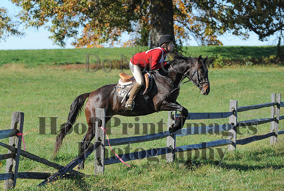 Cheshire(10-19-14)0494