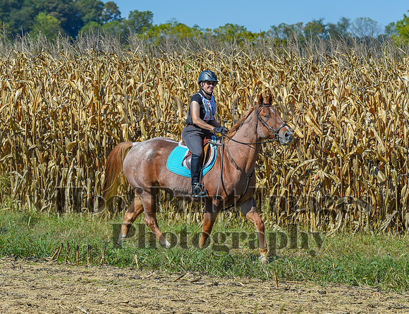 CheshirePonyClubPC(10-6-24)0575