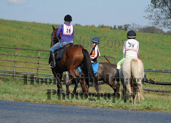 Cheshire(10-20-13)0197