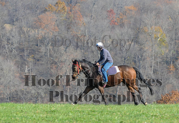 AndrewsBr(11-9-14)0091