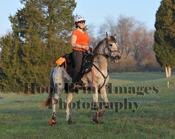 Foxcatcher(4-12-14)0247