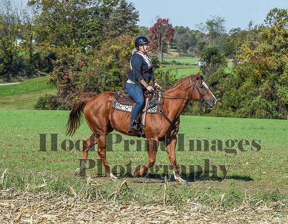 CheshirePC(10-18-20)0528