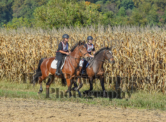 CheshirePonyClubPC(10-6-24)0146