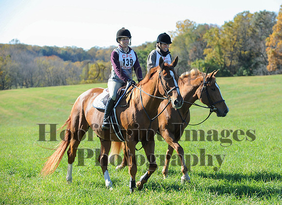 Cheshire(10-19-14)0460