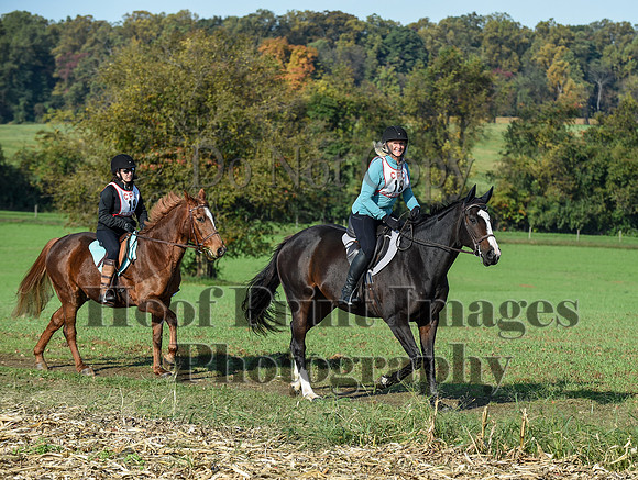 CheshirePC(10-18-20)0030