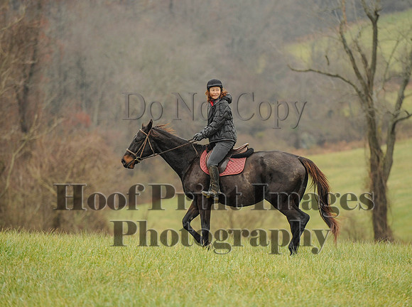 FHPC(11-25-16)0039