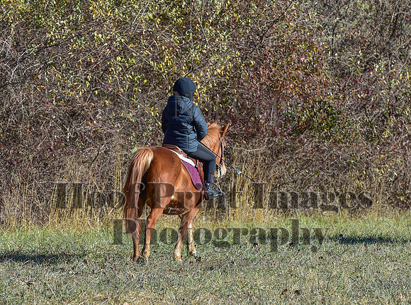 FairHillFallPC(11-30-24)0236