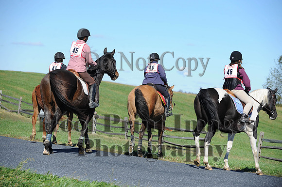 Cheshire(10-19-14)0135