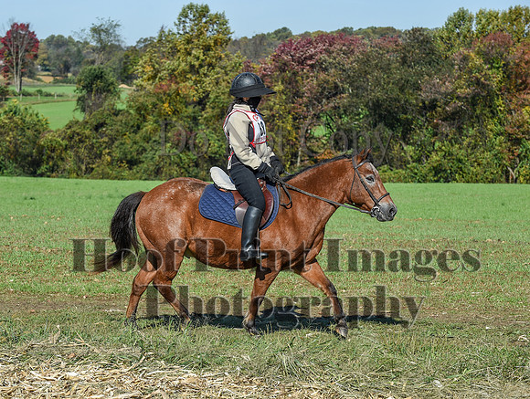 CheshirePC(10-18-20)0319