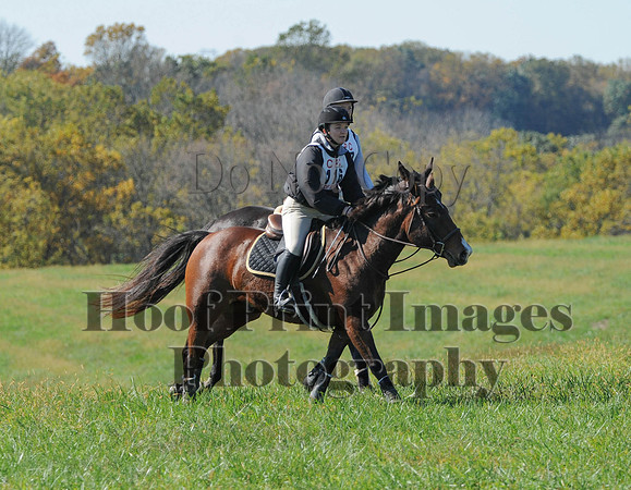 Cheshire(10-20-13)0133