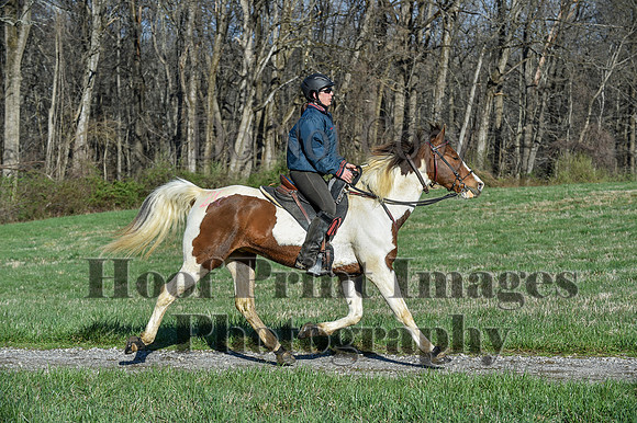 ChesapeakeSpring(4-10-22)0458