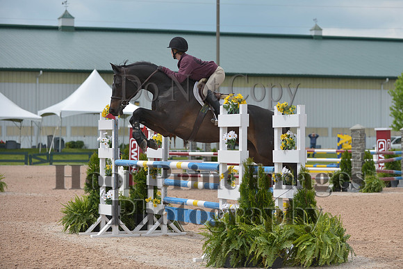 BRSa(5-17-14)HChAdJ0185
