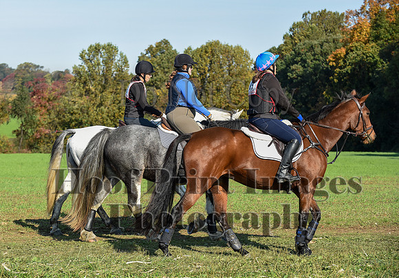 CheshirePC(10-18-20)0132