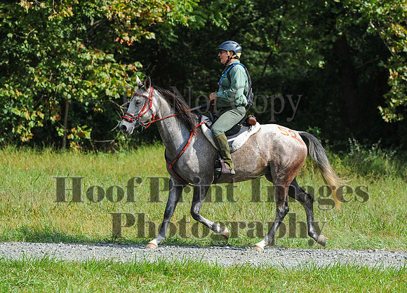ChesapeakeCTR(9-20-14)0557