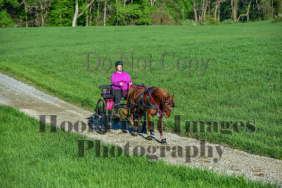 ChesapeakeSpring(4-27-25)0023