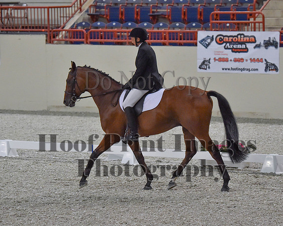 CWdressageII(8-21-16)1023
