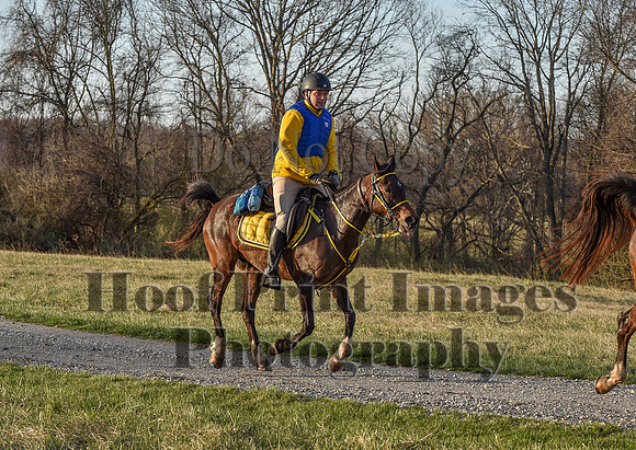 Foxcatcher(4-2-22)0031