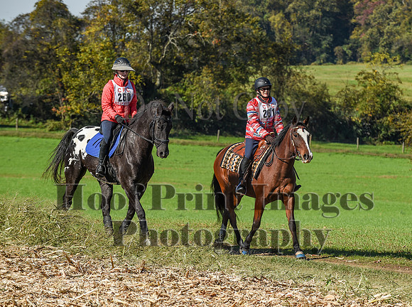 CheshirePC(10-18-20)0338