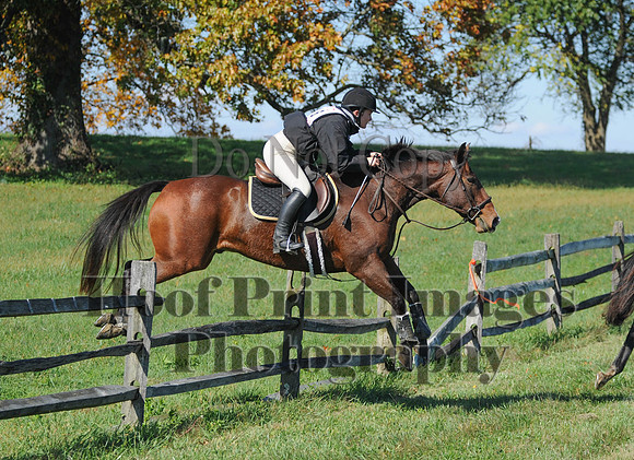 Cheshire(10-20-13)0136