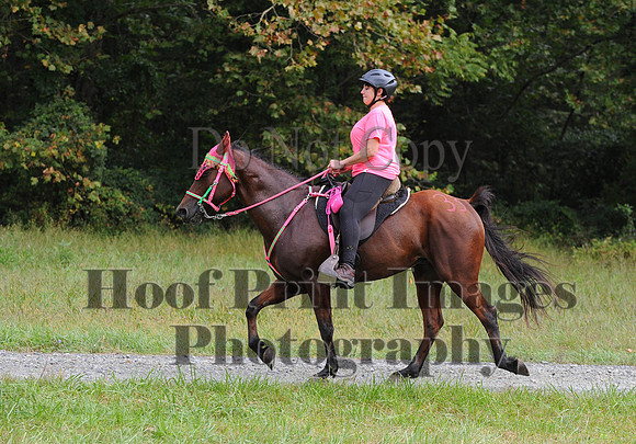 ChesapeakeCTR(9-20-14)0282
