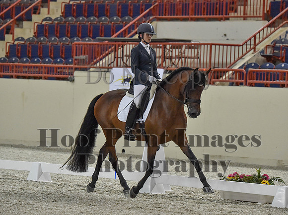 CWdressageI(8-20-16)0994