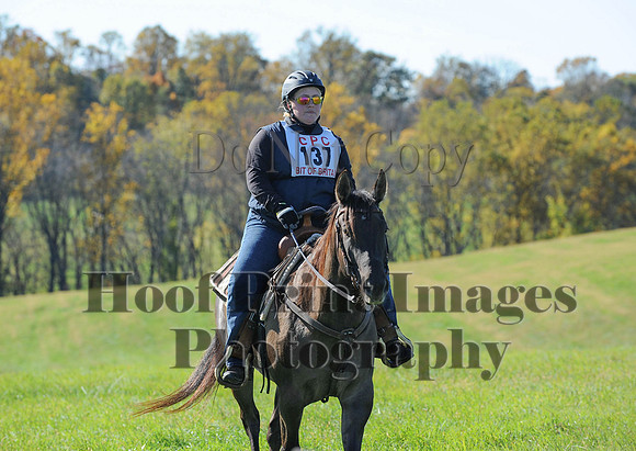 Cheshire(10-19-14)0293