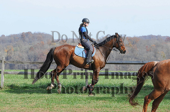 AndrewsBr(11-9-14)0223