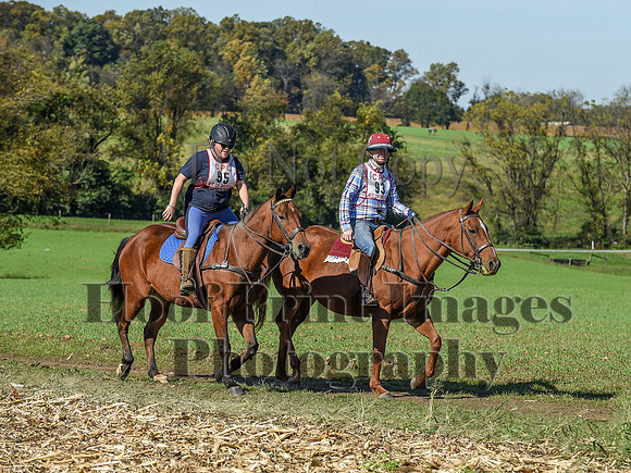 CheshirePC(10-18-20)0427