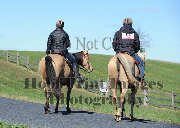 Cheshire(10-19-14)0238