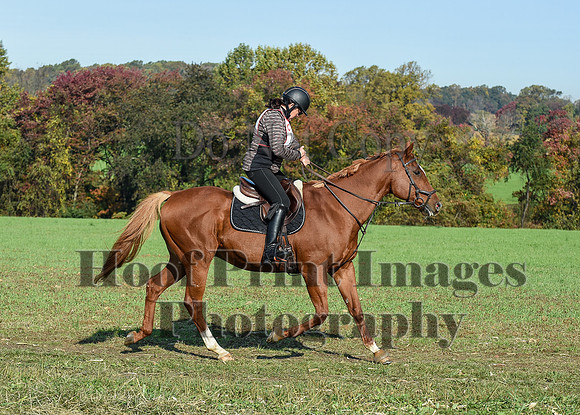 CheshirePC(10-18-20)0040