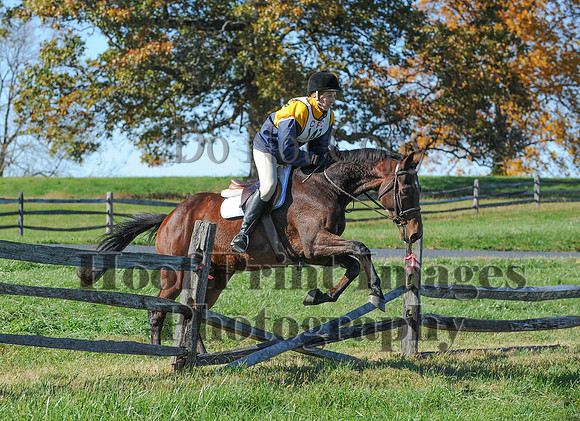 Cheshire(10-19-14)0373