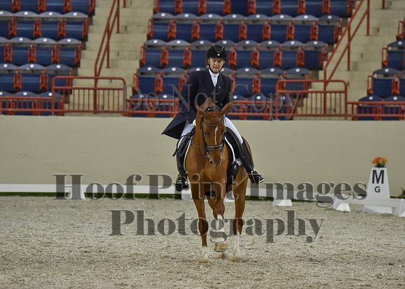 CWdressageI(8-20-16)1337