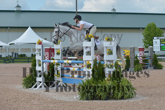 BRSa(5-17-14)HChAdJ0086