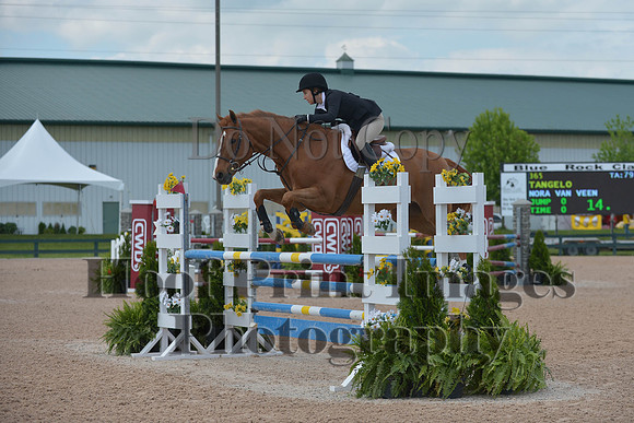 BRSa(5-17-14)HChAdJ0136