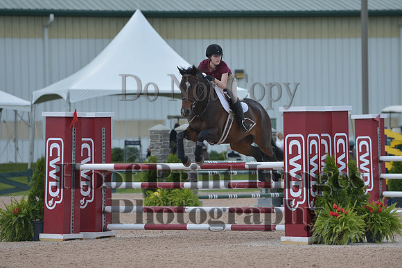 BRSa(5-17-14)HChAdJ0235