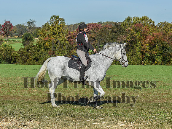 CheshirePC(10-18-20)0187