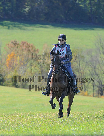 Cheshire(10-19-14)0071