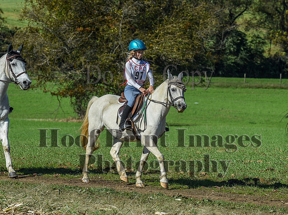 CheshirePC(10-18-20)0610