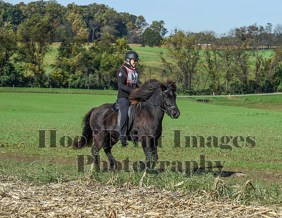 CheshirePC(10-18-20)0305