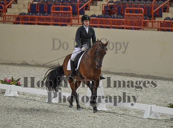 CWdressageI(8-20-16)0117