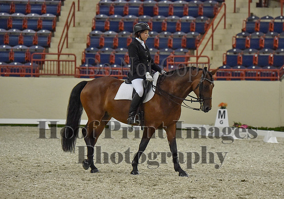 CWdressageI(8-20-16)0837