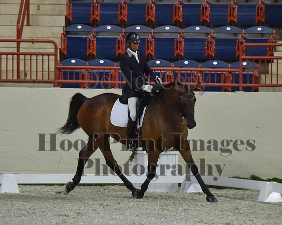 CWdressageII(8-21-16)2212
