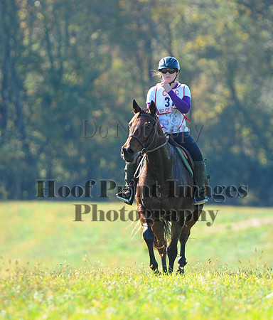 Cheshire(10-20-13)0565