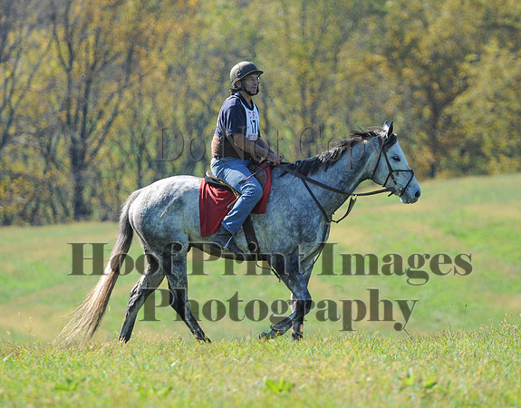 Cheshire(10-20-13)0652