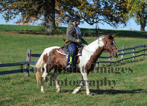 Cheshire(10-19-14)0229