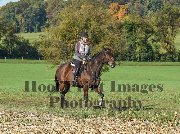 CheshirePC(10-18-20)0062