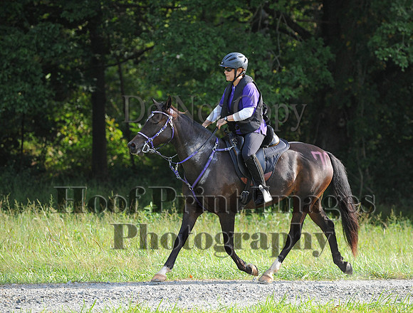 ChesapeakeCTR(9-20-14)0205