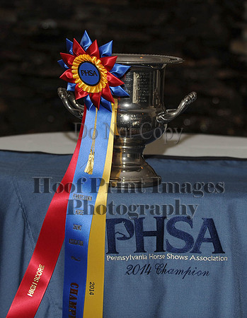 PHSA(1-17-15)0200