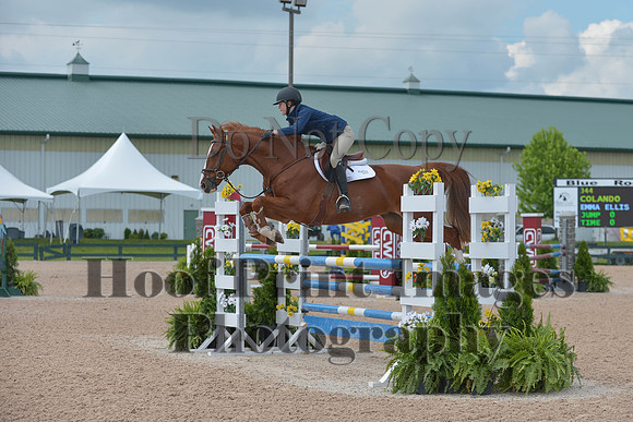 BRSa(5-17-14)HChAdJ0213